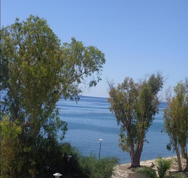 Galatex Μaisonette Διαμέρισμα Λεμεσός Εξωτερικό φωτογραφία