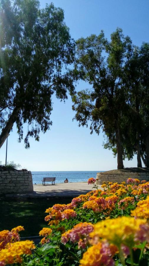 Galatex Μaisonette Διαμέρισμα Λεμεσός Εξωτερικό φωτογραφία